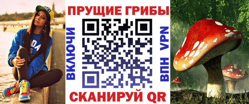 Псилоцибиновые грибы Psilocybe  Солнечногорск 